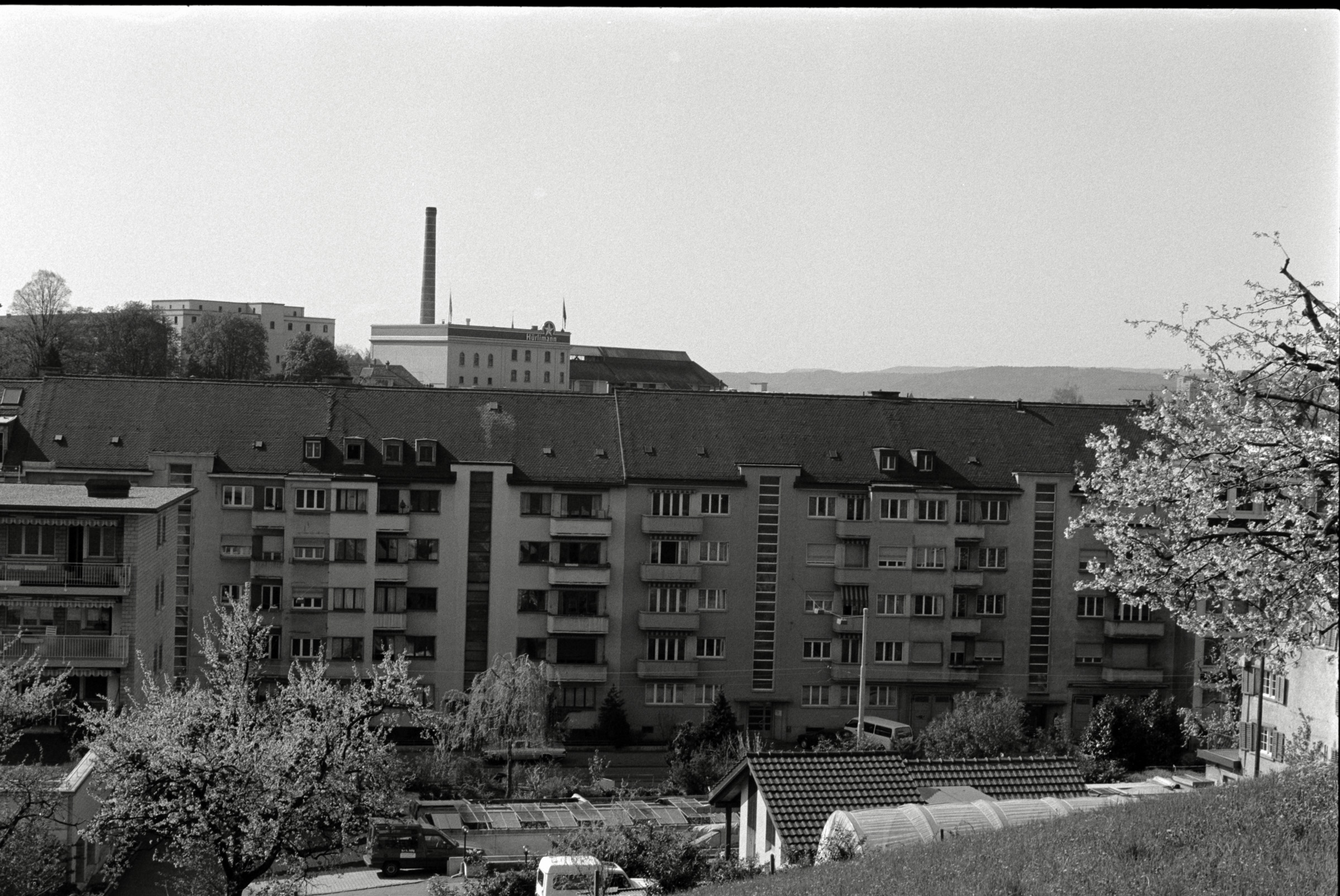 AHP F1993 04 002 sc240903 img13 NLP